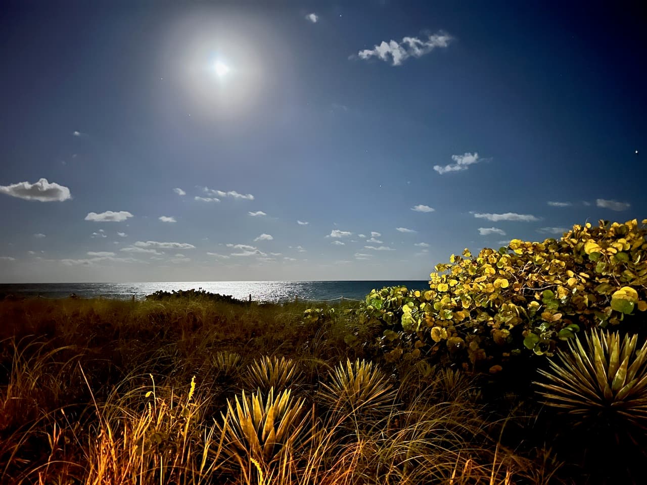 Miami Beach, FL
